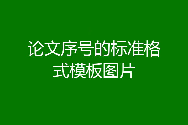 论文序号的标准格式模板图片