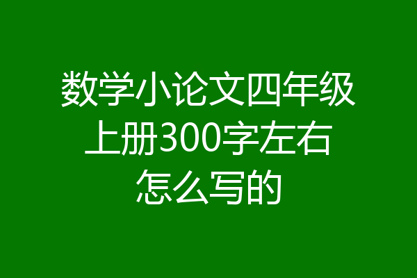 数学小论文四年级上册300字左右怎么写的
