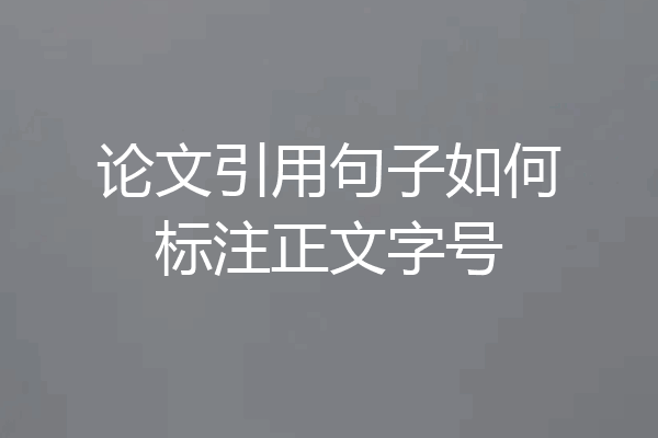 论文引用句子如何标注正文字号