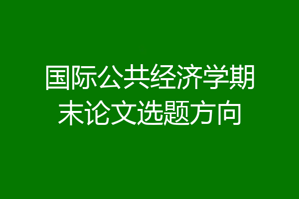 国际公共经济学期末论文选题方向
