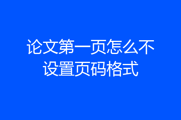 论文第一页怎么不设置页码格式