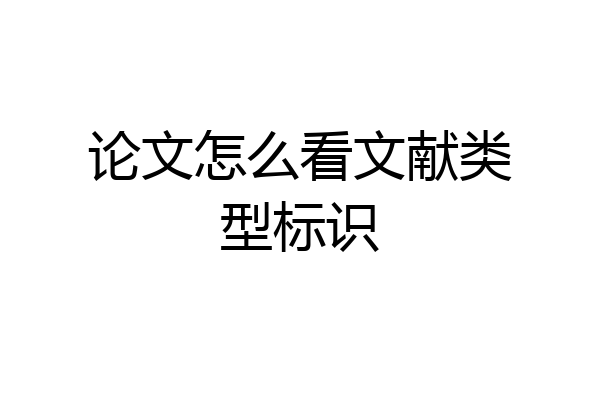 论文怎么看文献类型标识