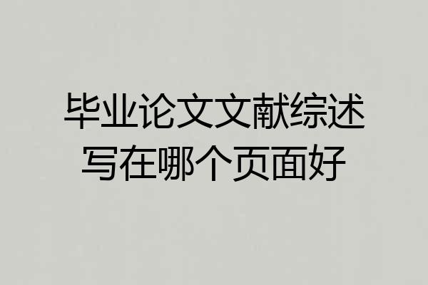 毕业论文文献综述写在哪个页面好