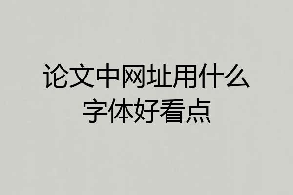论文中网址用什么字体好看点
