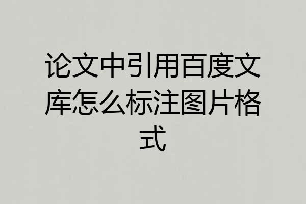 论文中引用百度文库怎么标注图片格式
