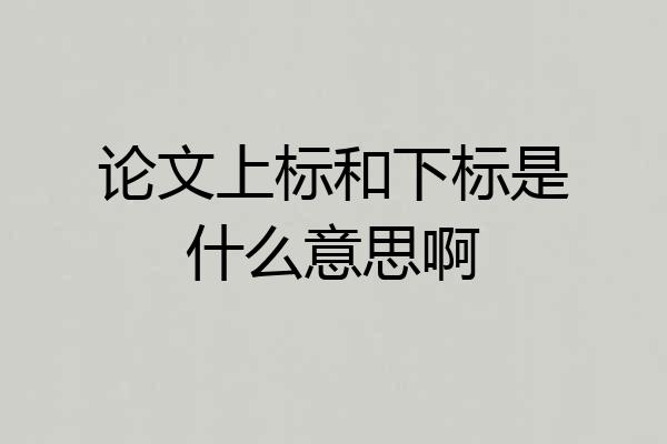论文上标和下标是什么意思啊