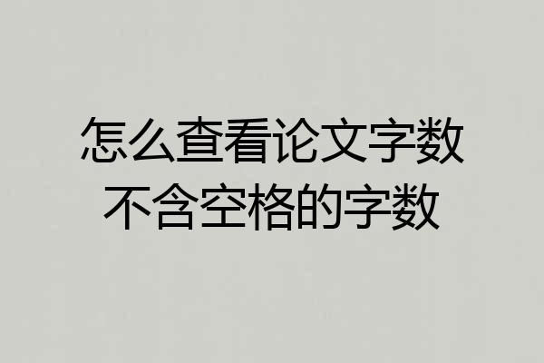 怎么查看论文字数不含空格的字数