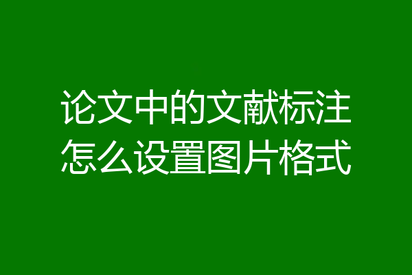 论文中的文献标注怎么设置图片格式