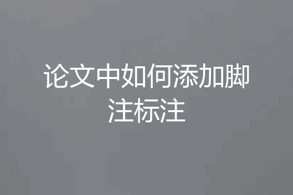 论文中如何添加脚注标注
