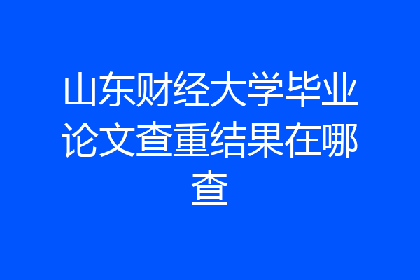 山东财经大学毕业论文查重结果在哪查