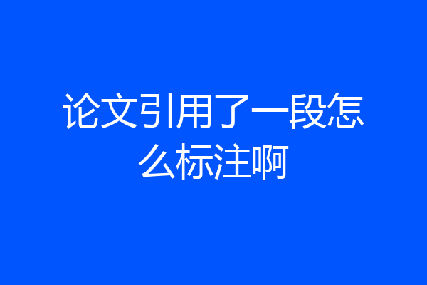论文引用了一段怎么标注啊