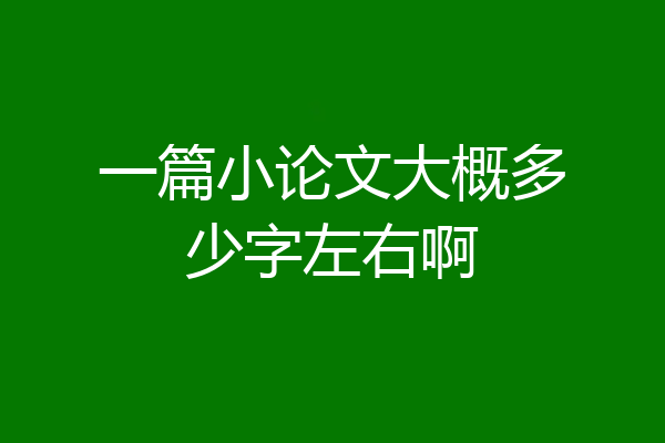 一篇小论文大概多少字左右啊