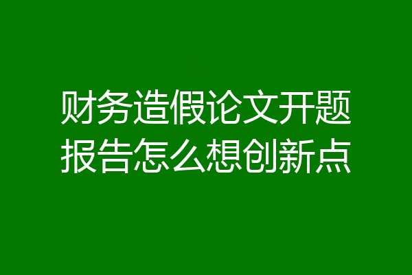 财务造假论文开题报告怎么想创新点