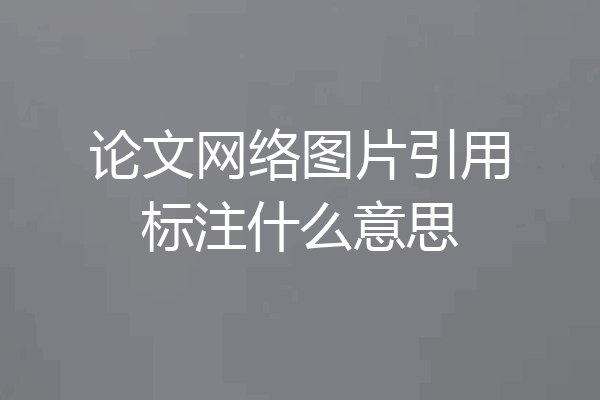 论文网络图片引用标注什么意思
