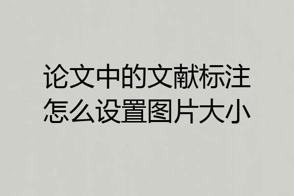 论文中的文献标注怎么设置图片大小