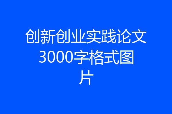 创新创业实践论文3000字格式图片