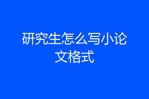 研究生怎么写小论文格式