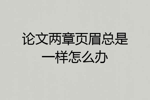 论文两章页眉总是一样怎么办