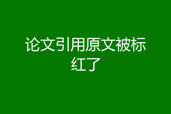 论文引用原文被标红了