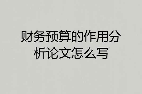 财务预算的作用分析论文怎么写