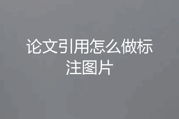 论文引用怎么做标注图片