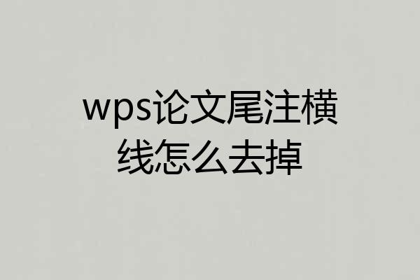 wps论文尾注横线怎么去掉