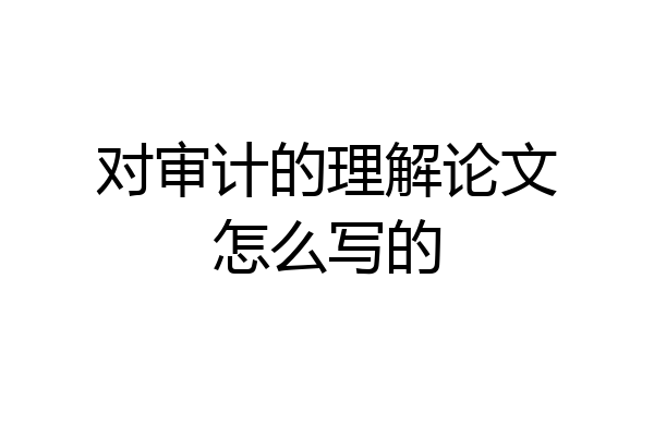 对审计的理解论文怎么写的