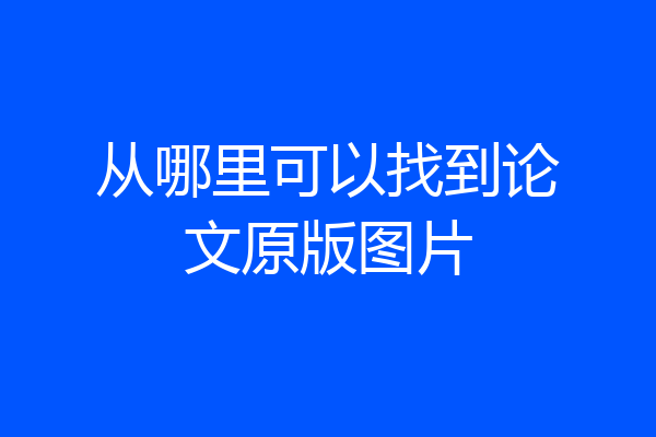 从哪里可以找到论文原版图片