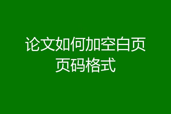 论文如何加空白页页码格式