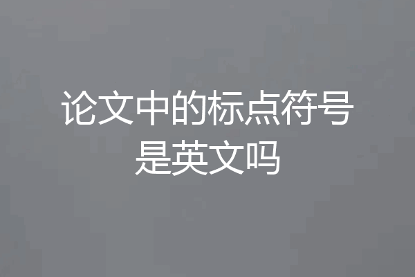 论文中的标点符号是英文吗