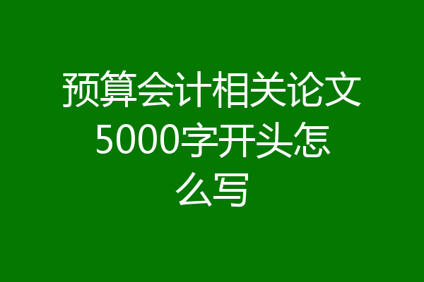 预算会计相关论文5000字开头怎么写