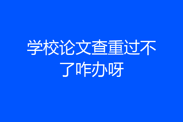 学校论文查重过不了咋办呀