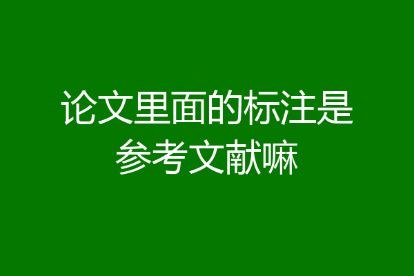 论文里面的标注是参考文献嘛