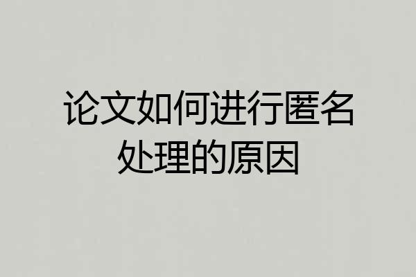 论文如何进行匿名处理的原因