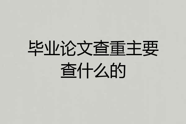 毕业论文查重主要查什么的