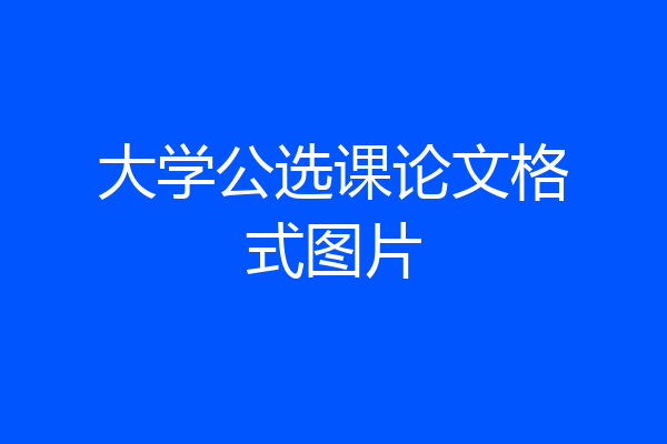 大学公选课论文格式图片