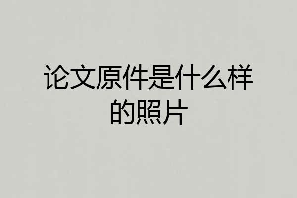 论文原件是什么样的照片