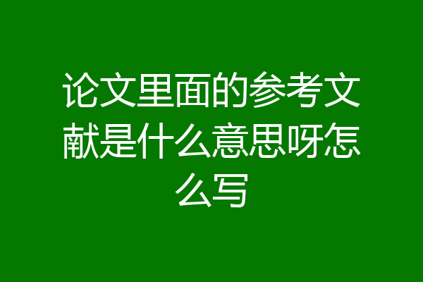 论文里面的参考文献是什么意思呀怎么写