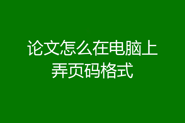 论文怎么在电脑上弄页码格式