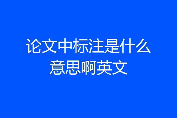 论文中标注是什么意思啊英文