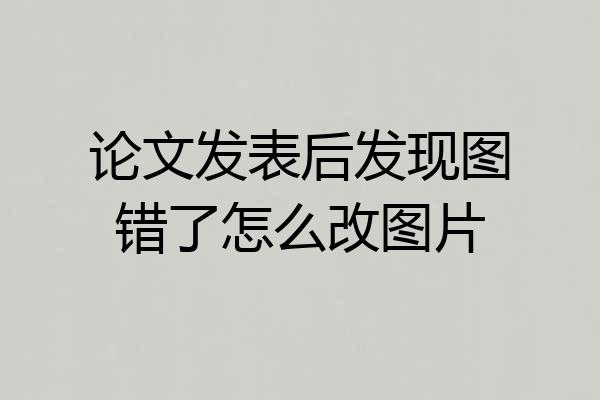 论文发表后发现图错了怎么改图片