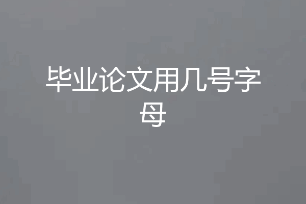 毕业论文用几号字母