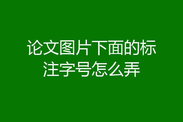 论文图片下面的标注字号怎么弄