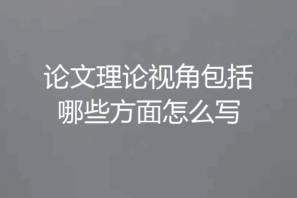 论文理论视角包括哪些方面怎么写