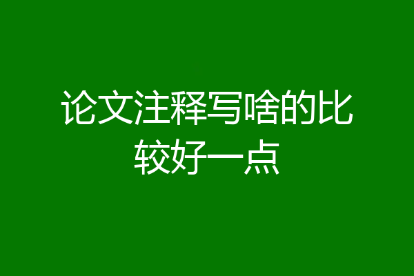 论文注释写啥的比较好一点