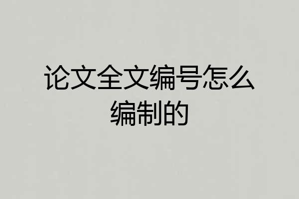 论文全文编号怎么编制的