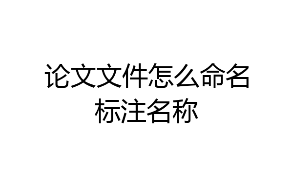 论文文件怎么命名标注名称