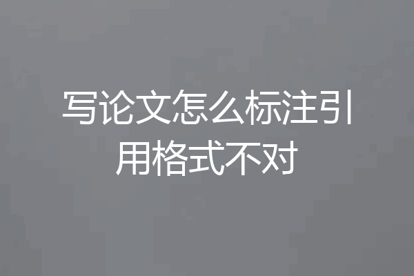 写论文怎么标注引用格式不对