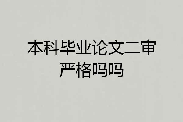 本科毕业论文二审严格吗吗