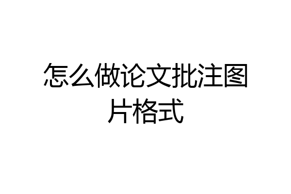 怎么做论文批注图片格式